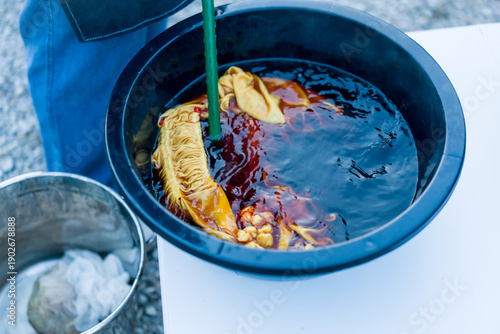 Canvas Print Closeup dye vat beside metal pot, tied cotton fabric soaks in indigo bath, pole stirs surface creating marbled pigment, handmade shibori resist dyeing step for sustainable craft business today