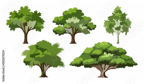 Realistic green tree species collection isolated on white background for environmental and landscape design vector set