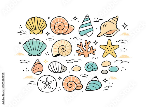 Seashells Flat Lay. Seashells collection. Editorial flat lay of different seashells arranged neatly on a clean surface. Calm coastal mood, sense of order and