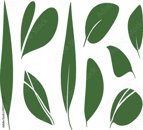 Assortment of Stylized Green Leaves in Various Shapes and Sizes plant leaves foliage