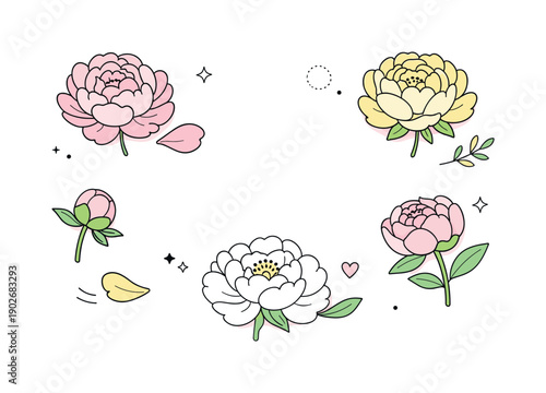 Peony Flat Lay. Peony flowers flat lay styling. A minimal top-down floral composition with peonies placed like design objects, leaving plenty of breathing