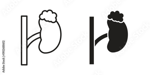 Adrenal gland icon in black solid style. linear symbol.