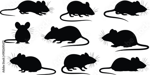 Rat silhouette, mouse silhouette, rodent animal collection, pest control concept, black vector illustration set isolated on white background