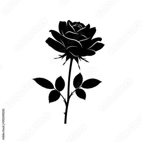 Mentor guiding and advising a mentee with a pointing gesture