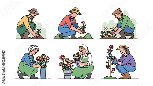 Gardener Tending to Roses in a Garden from Various Angles and Stages