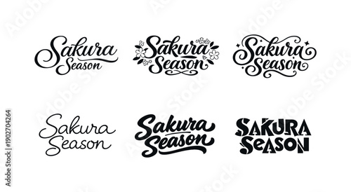 Sakura season. Set lettering. harmonious lettering variations of the same emblematic concept, each with different artistic interpretation