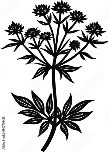 Silhouette of a flowering plant isolated on a transparent background