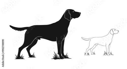 A striking silhouette of a pointer dog alongside a line drawing