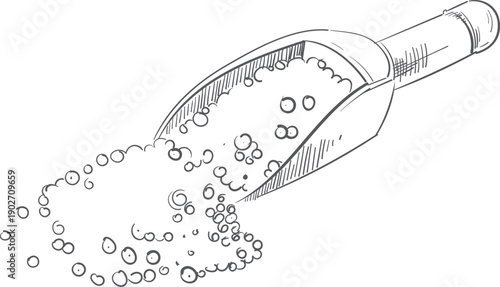 Grain on wooden spoon drawing. Cereal seeds ladle