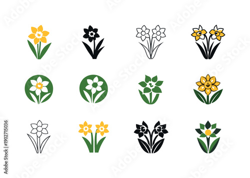 Narcissus. Icon set. Set Logo of Narcissus: blooming narcissus stem. harmonious logo variations of the same emblematic concept, each with