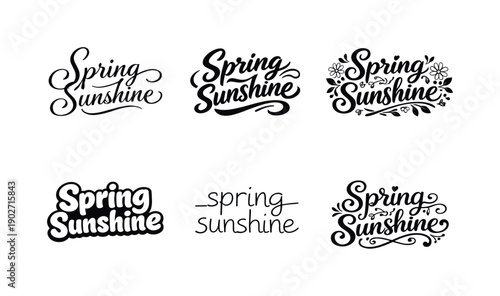 Spring sunshine. Set lettering. harmonious lettering variations of the same emblematic concept, each with different artistic interpretation