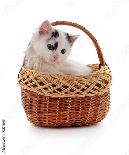 White kitten sitting in a wicker basket.
