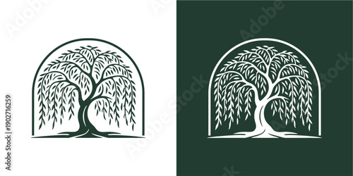 Elegant weeping willow tree i...
