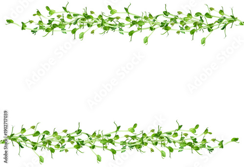 Border (frame) made from pea microgreen shoots. Fresh green frame for healthy food, eco lifestyle and natural design, with copy space.