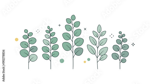 Eucalyptus Minimal Collection. Neutral eucalyptus branch collection. A tidy group of stems with varying heights and leaf patterns, all in soft muted greens and