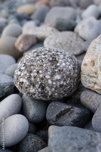 Canvas Print stones on the beach