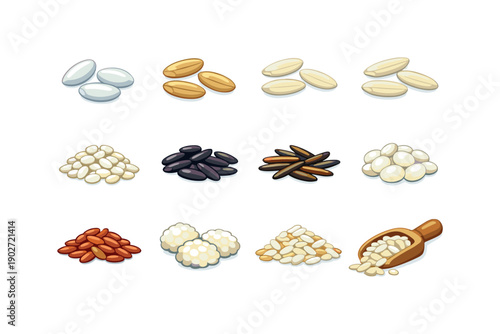 Types of rice. Colorful flat vector icons set of types of rice: white rice grains, brown rice grains, jasmine rice, basmati rice, arborio