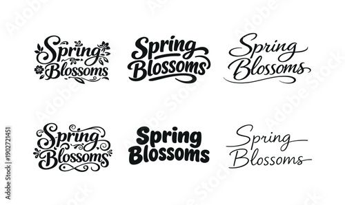 Spring blossoms. Set lettering. harmonious lettering variations of the same emblematic concept, each with different artistic interpretation