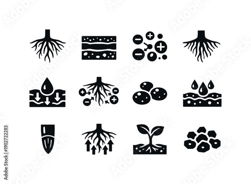 Plant Nutrient Absorption. Solid icon set of Plant Nutrient Absorption: plant roots, soil layers, nutrient ions, root hairs, water uptake,