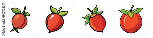 Rosehip Fruit Icons Set in Various Styles Flat Design vector illustration