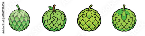 Sugar Apple Fruit Set in Flat Design Style vector illustration