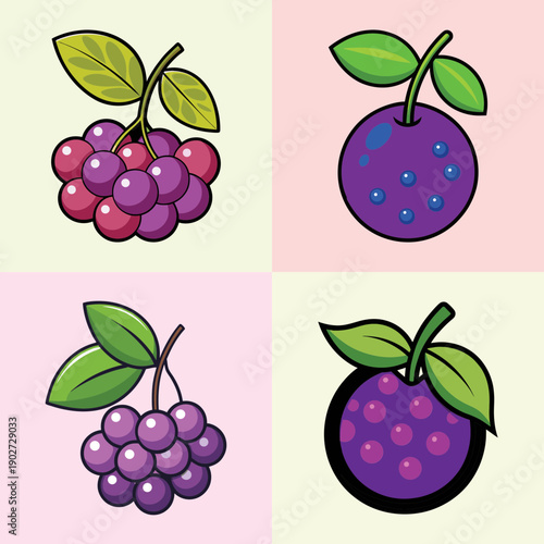 Chokeberry Fruit Variations Flat Design Vector Illustration