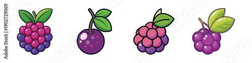 Chokeberry fruit set illustration with leaves and berries in flat design vector illustration