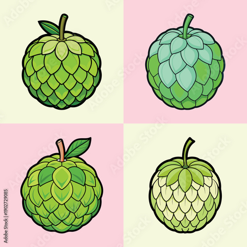 Custard Apple Fruit Set Flat Design Vector Illustration