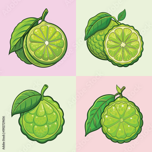 Kaffir Lime Set with Leaves on Pastel Backgrounds Flat Design vector illustration