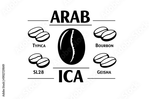 Arabica coffee varieties: typica, bourbon, sl28, geisha