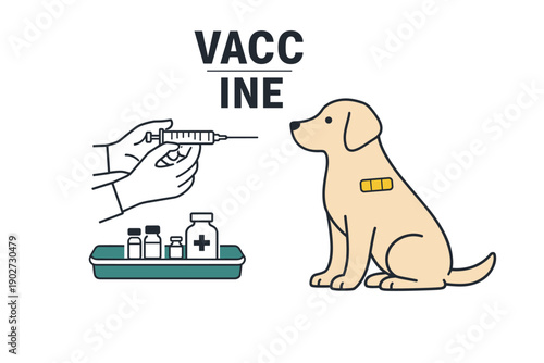 Dog vaccination: adorable puppy receiving vaccine injection for health safety