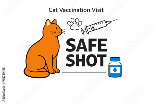 Cat vaccination visit: ensuring a safe and healthy feline experience