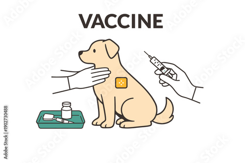 Illustrated dog vaccine procedure: canine receiving vaccination