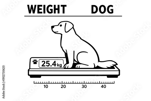 Dog on scale showing weight in kilograms: canine measuring and health indicator