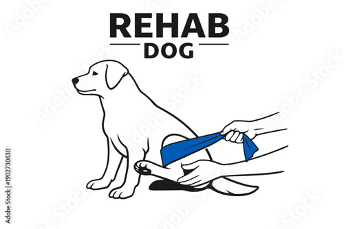Dog rehabilitation: canine leg therapy demonstration