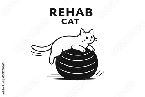 Playful cat balancing on exercise ball in cute illustration