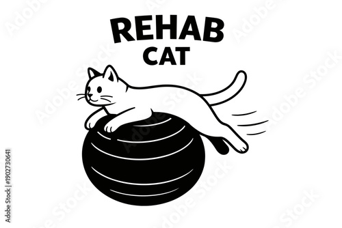 Cartoon cat balancing on exercise ball in playful graphic design
