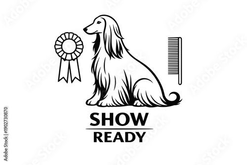 Dog show preparation: award-winning afghan hound with grooming tools