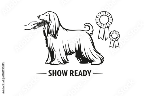 Elegant dog grooming for show with awards and ribbons