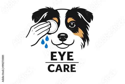 Illustration of dog eye care with cotton pad and droplets