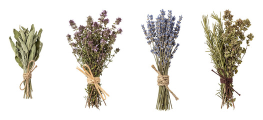 Herb bundle dried set.