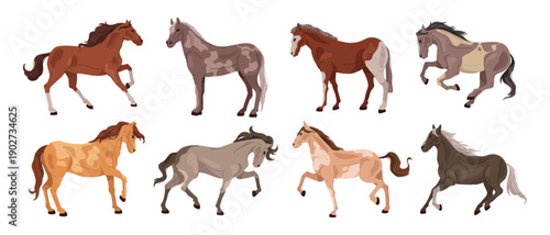 Farm animal, breeding and growing for agriculture. Vector isolated collection of various horses, stallions used for transportation. Domesticated creature or pet, equine and equestrian