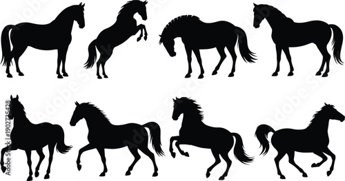 Horse silhouette collection, equine poses standing rearing and running, black horse vector illustration set for western, sport, and design