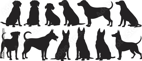 Dog silhouettes collection, black domestic canine shapes in sitting and standing poses, pet animal outlines, training breed clipart set, vector illustration