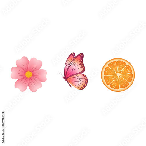 Delicate pink flower, pink butterfly, and orange slice on white background