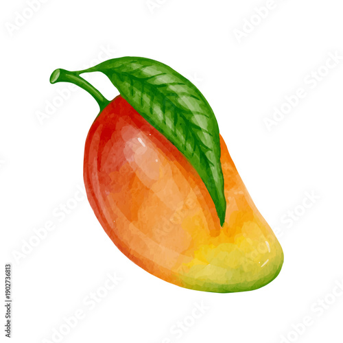 Juicy, ripe tropical mango fruits. Vector graphics.