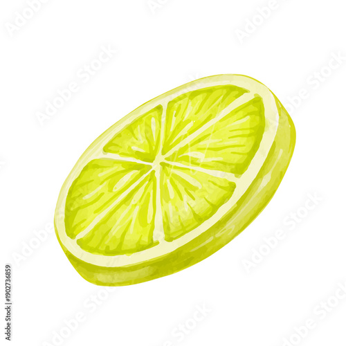 Colorful citrus fruit of a ripe lemon. Vector graphics.
