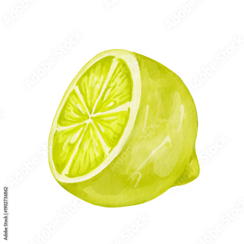 Colorful citrus fruit of a ripe lemon. Vector graphics.