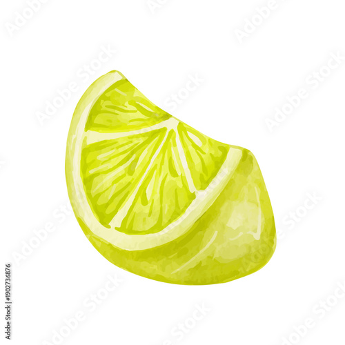 Colorful citrus fruit of a ripe lemon. Vector graphics.