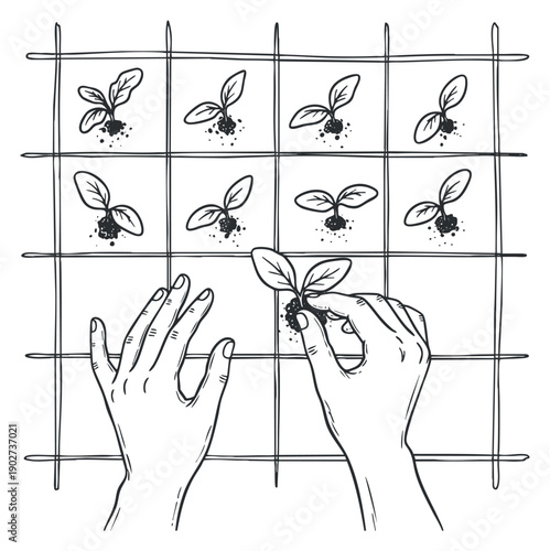 A pair of hands planting seedlings in soil within a grid layout in outline sketch style, ideal for gardening projects